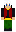 skin of a player