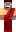 skin of a player