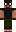skin of a player