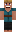 skin of a player