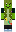 skin of a player