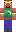 skin of a player