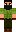 skin of a player