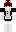 skin of a player