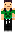 skin of a player