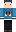 skin of a player