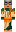 skin of a player