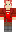 skin of a player