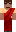 skin of a player