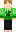 skin of a player