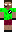 skin of a player