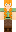skin of a player
