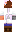 skin of a player