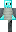 skin of a player