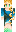 skin of a player