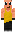 skin of a player