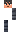 skin of a player