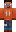 skin of a player