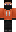 skin of a player