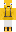 skin of a player