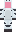 skin of a player