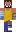 skin of a player