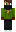skin of a player