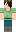 skin of a player