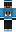 skin of a player
