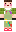 skin of a player