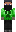 skin of a player