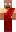 skin of a player
