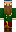 skin of a player
