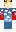 skin of a player