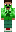 skin of a player