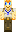 skin of a player