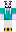skin of a player