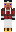 skin of a player