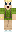 skin of a player