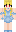 skin of a player