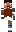 skin of a player