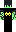 skin of a player