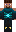 skin of a player
