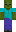 skin of a player