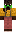 skin of a player
