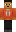 skin of a player
