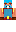 skin of a player
