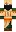 skin of a player