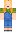 skin of a player