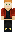 skin of a player